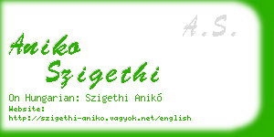 aniko szigethi business card